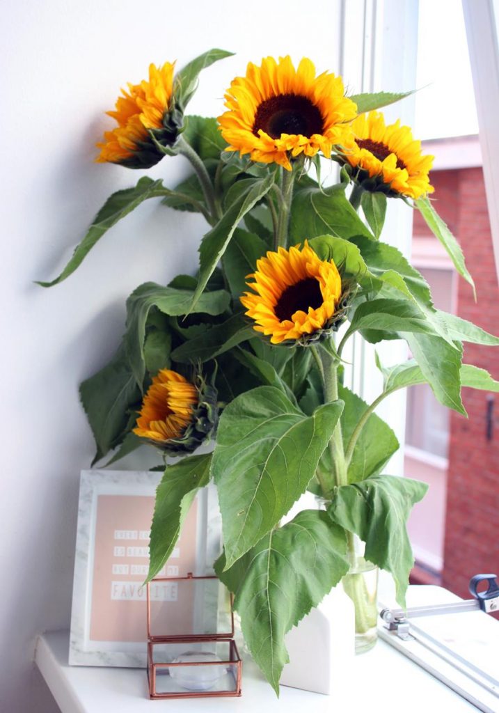 lily-like.com lily-like.com